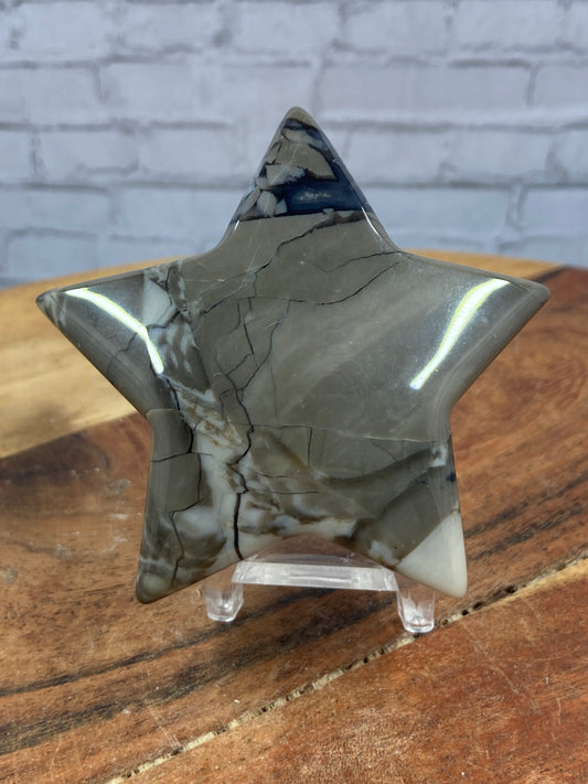Picasso Jasper Star