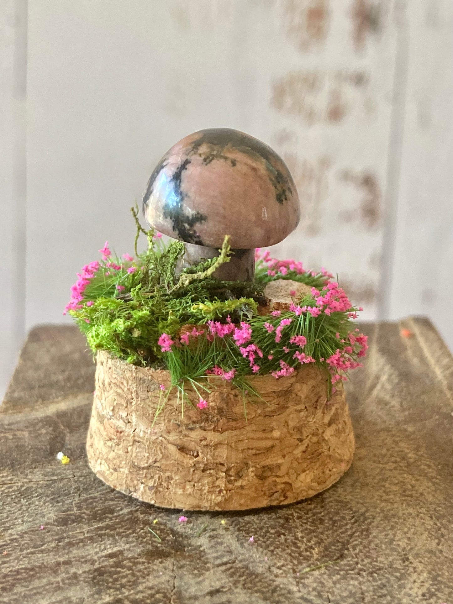 Rhodonite Mushroom terrarium