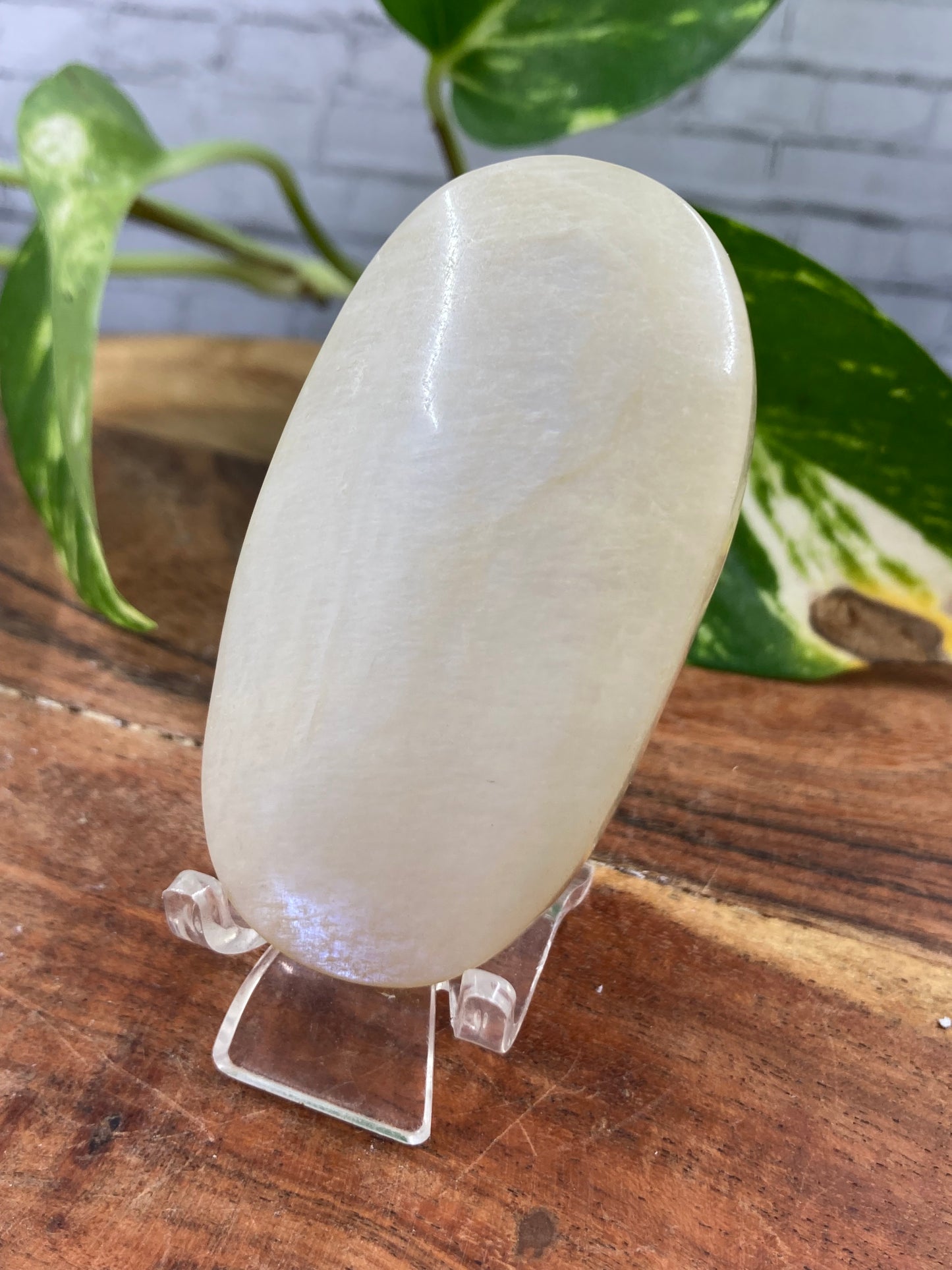 Rainbow Moonstone Palmstone