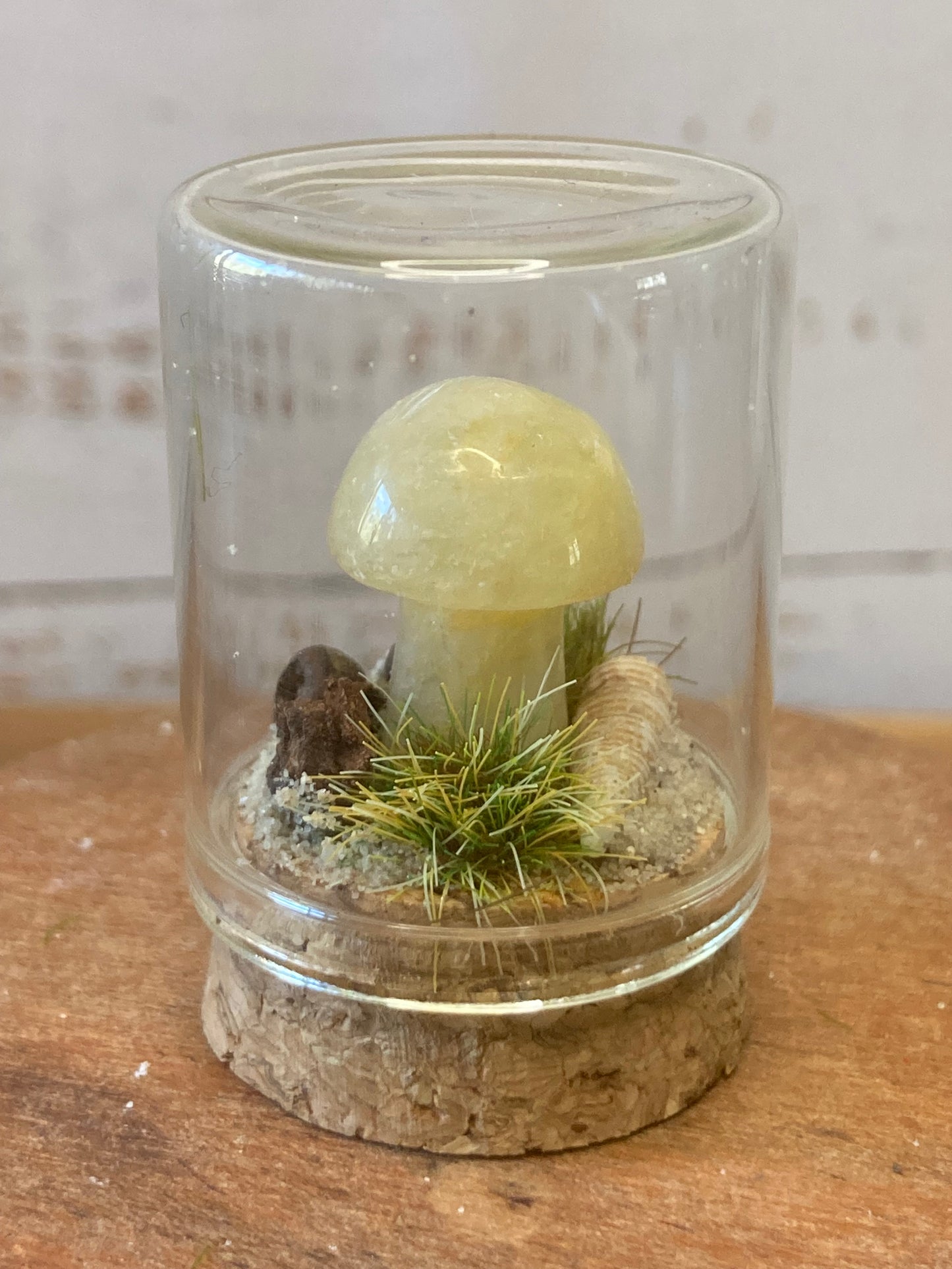 Orange Calcite Mushroom terrarium