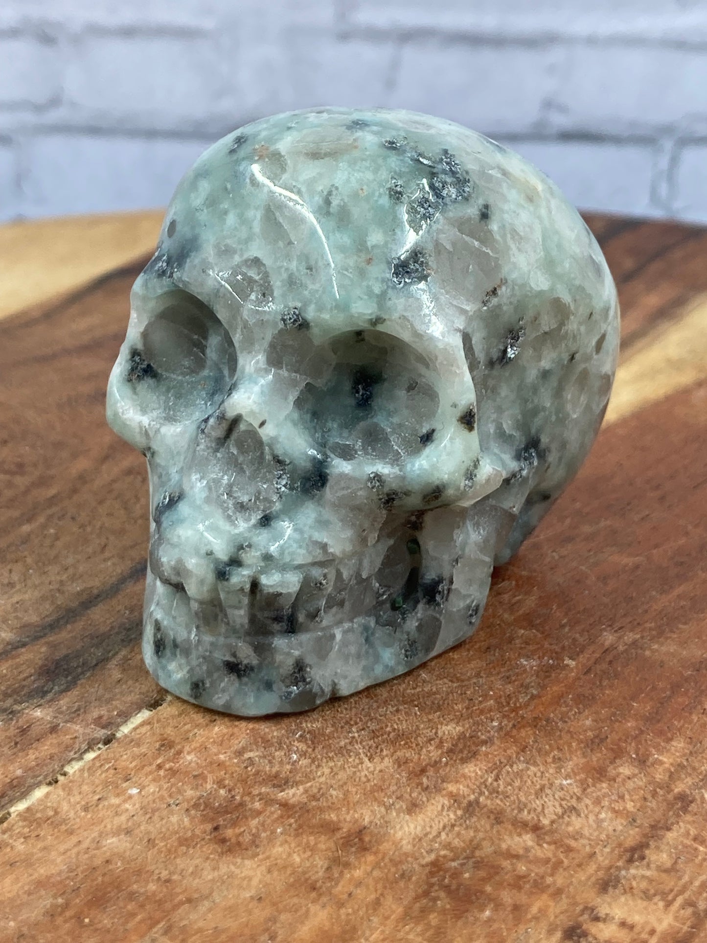 Kiwi Jasper Skull