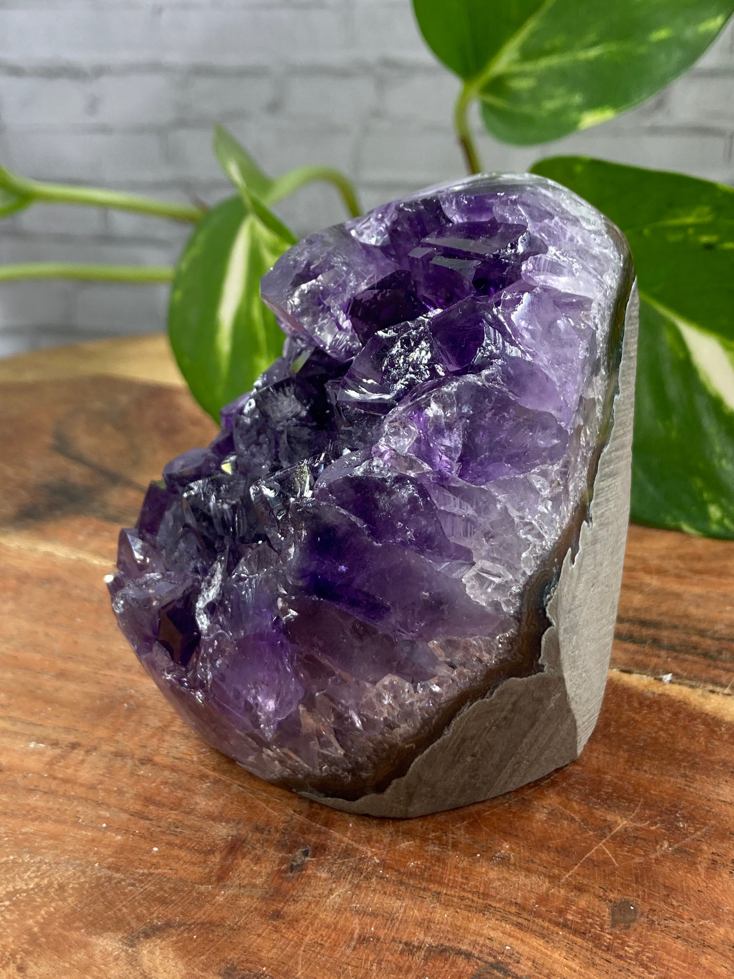 Amethyst Cut Base Cluster