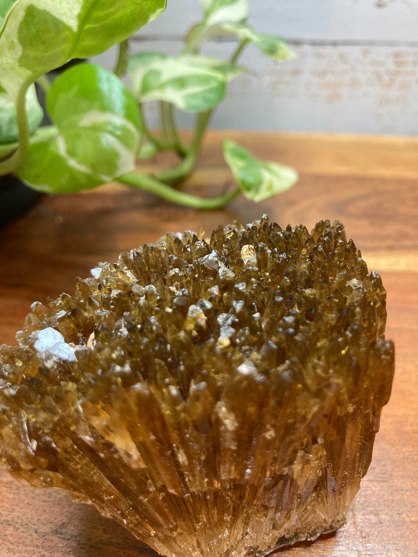Amber Dogtooth Calcite