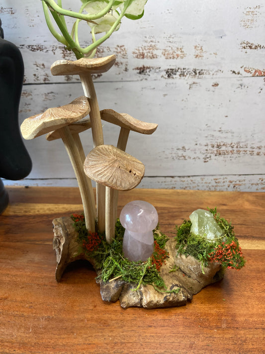Mushroom Cluster