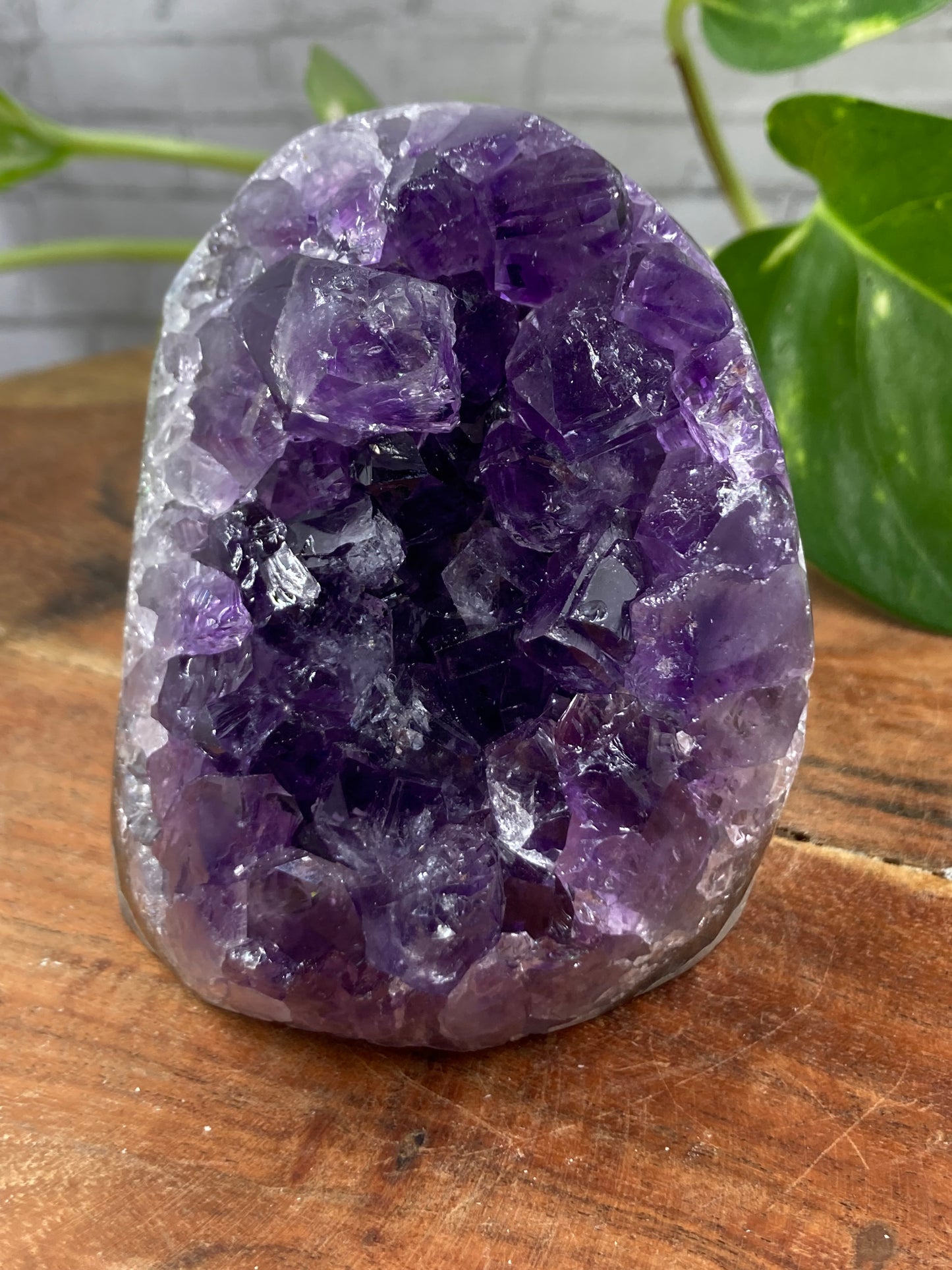 Amethyst Cut Base Cluster