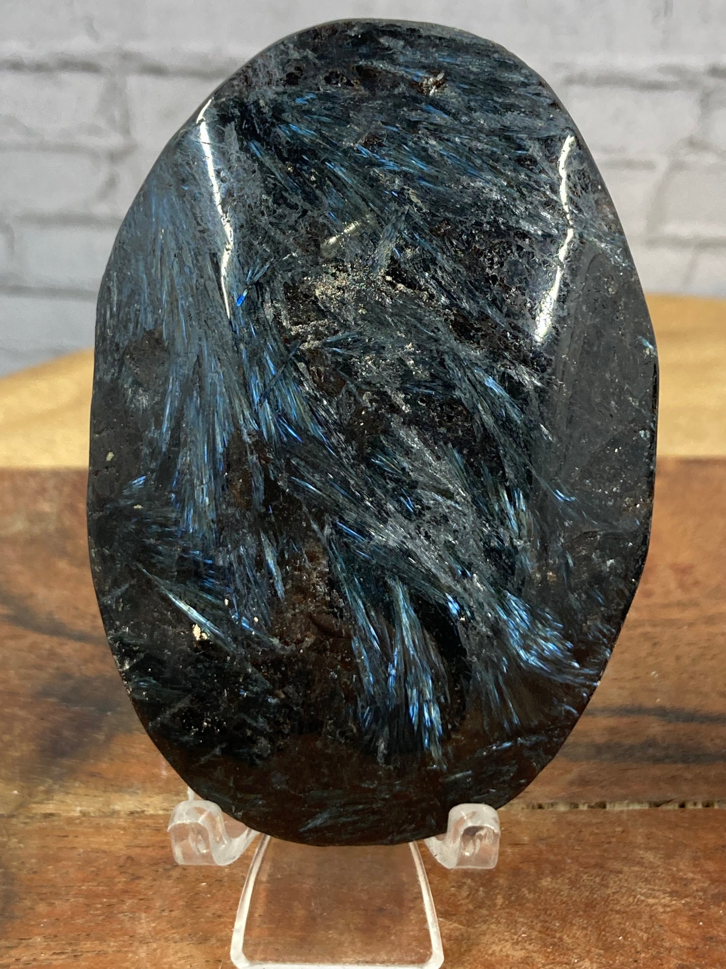 Astrophyllite Palm Stone