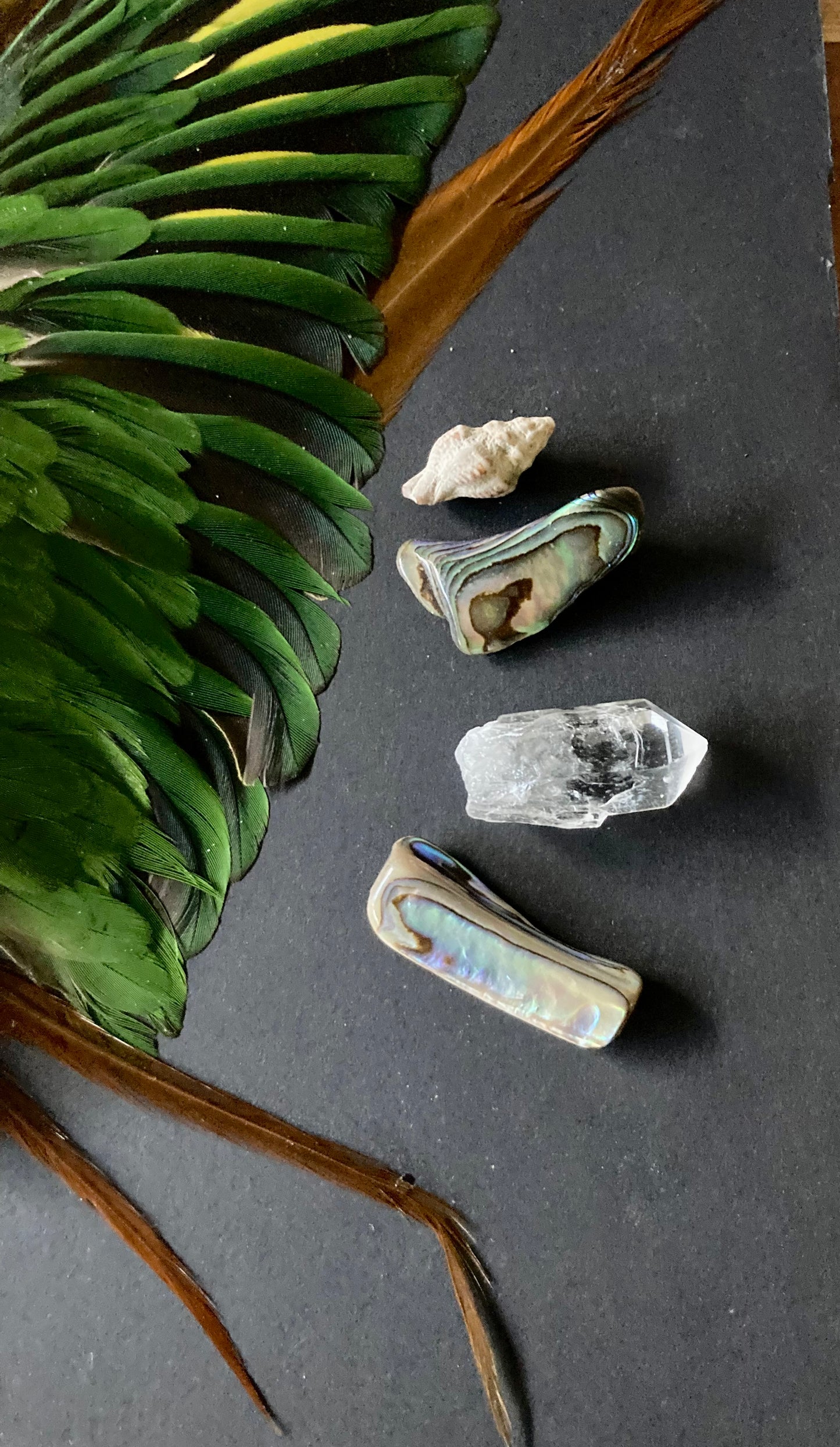 The Art of Transformation