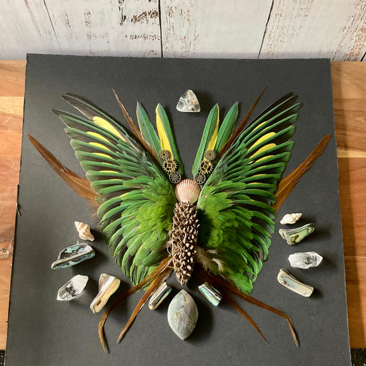 The Art of Transformation