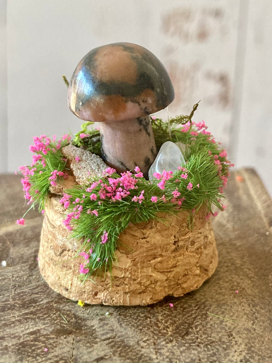 Rhodonite Mushroom terrarium
