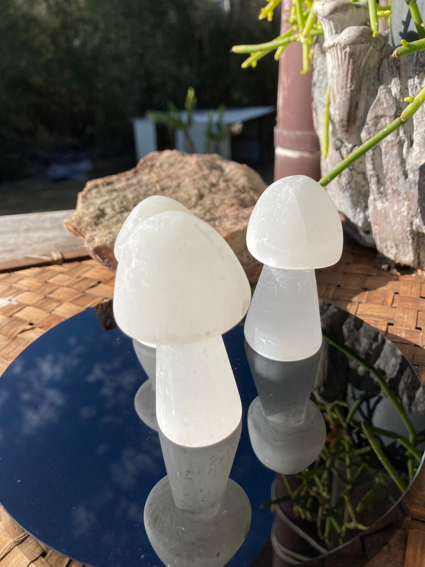 Selenite Mushroom