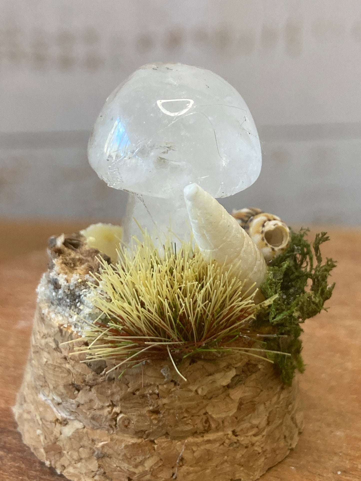 Clear Quartz Mushroom terrarium