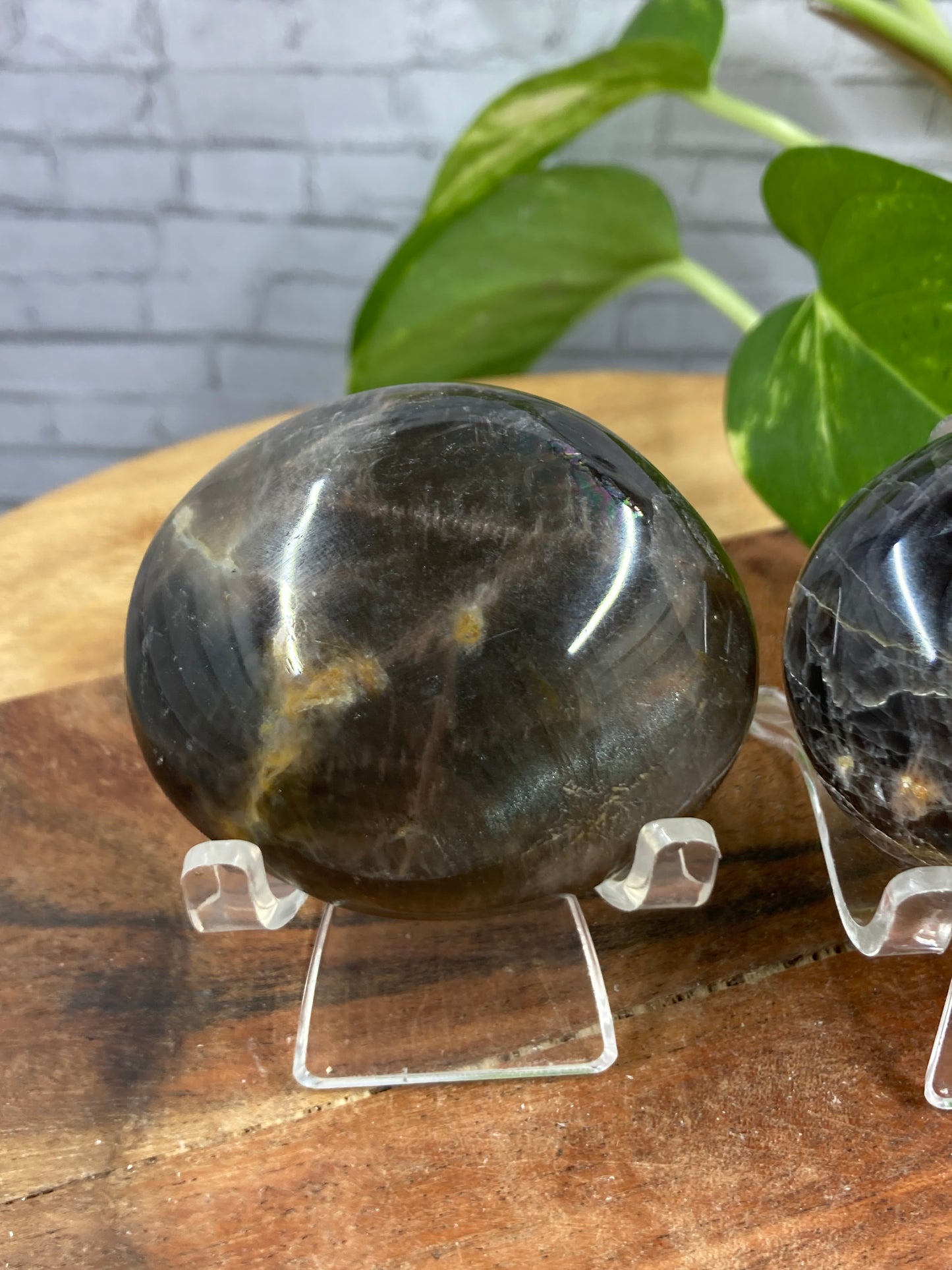 Black Moonstone Palmstone