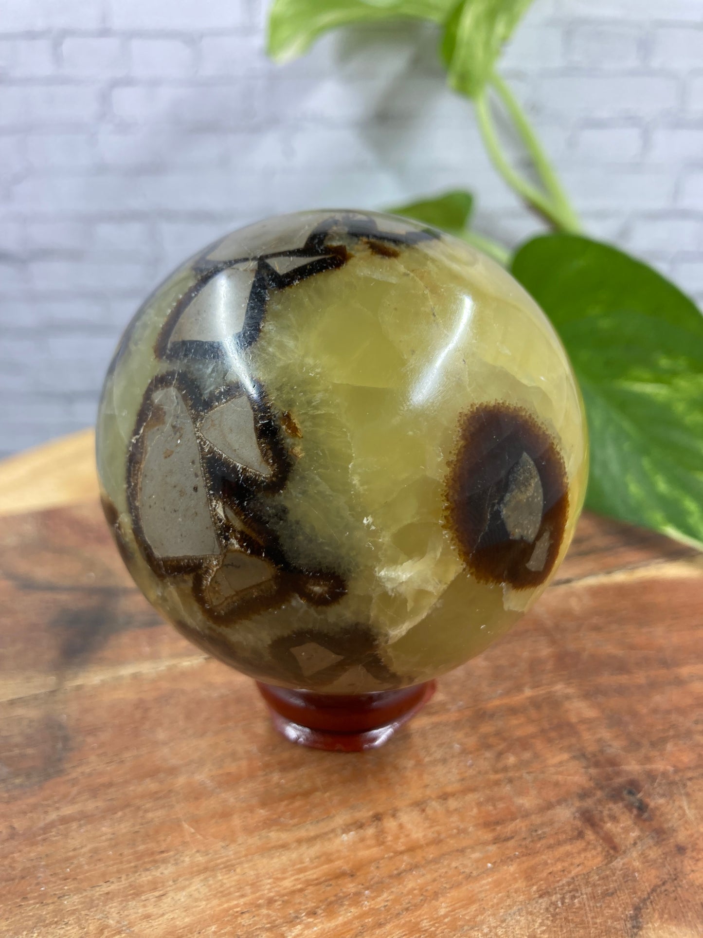 Septarian Sphere