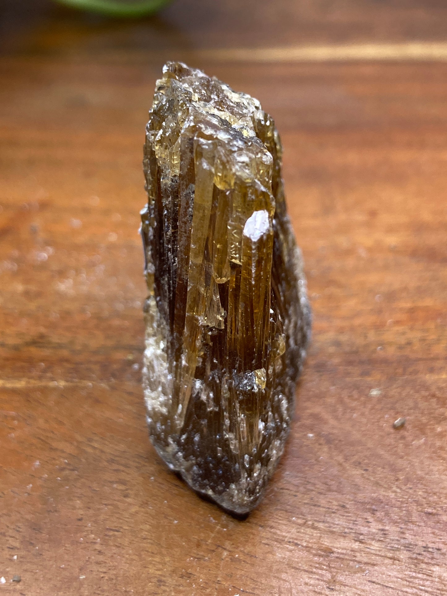 Amber Dogtooth Calcite