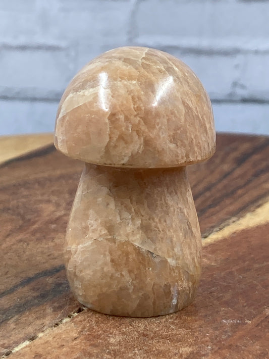 Moonstone Mushroom