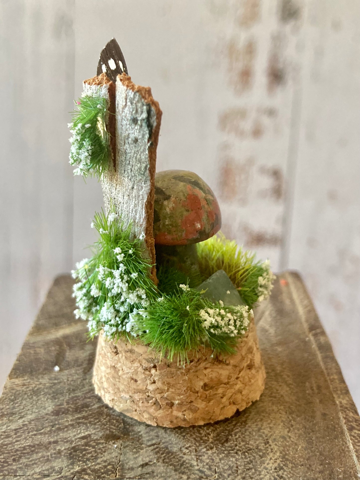 Unakite Mushroom terrarium