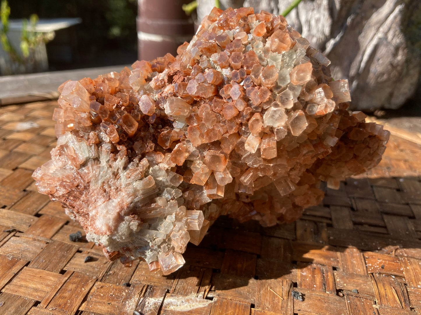 Aragonite Sputnik