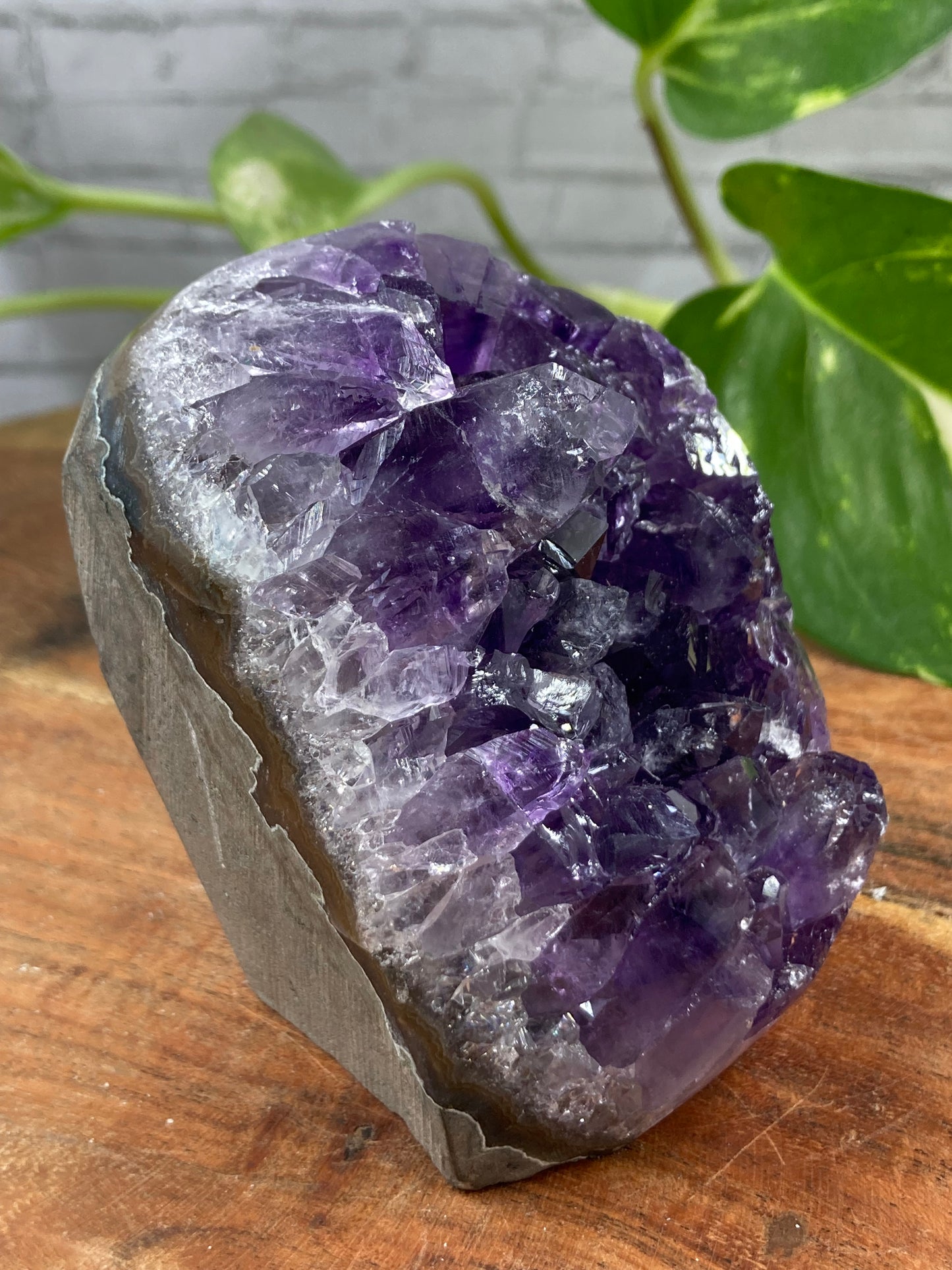 Amethyst Cut Base Cluster