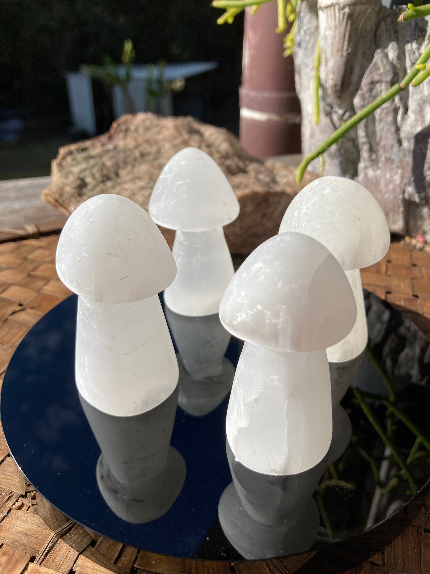 Selenite Mushroom