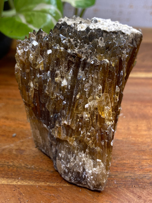 Amber Dogtooth Calcite