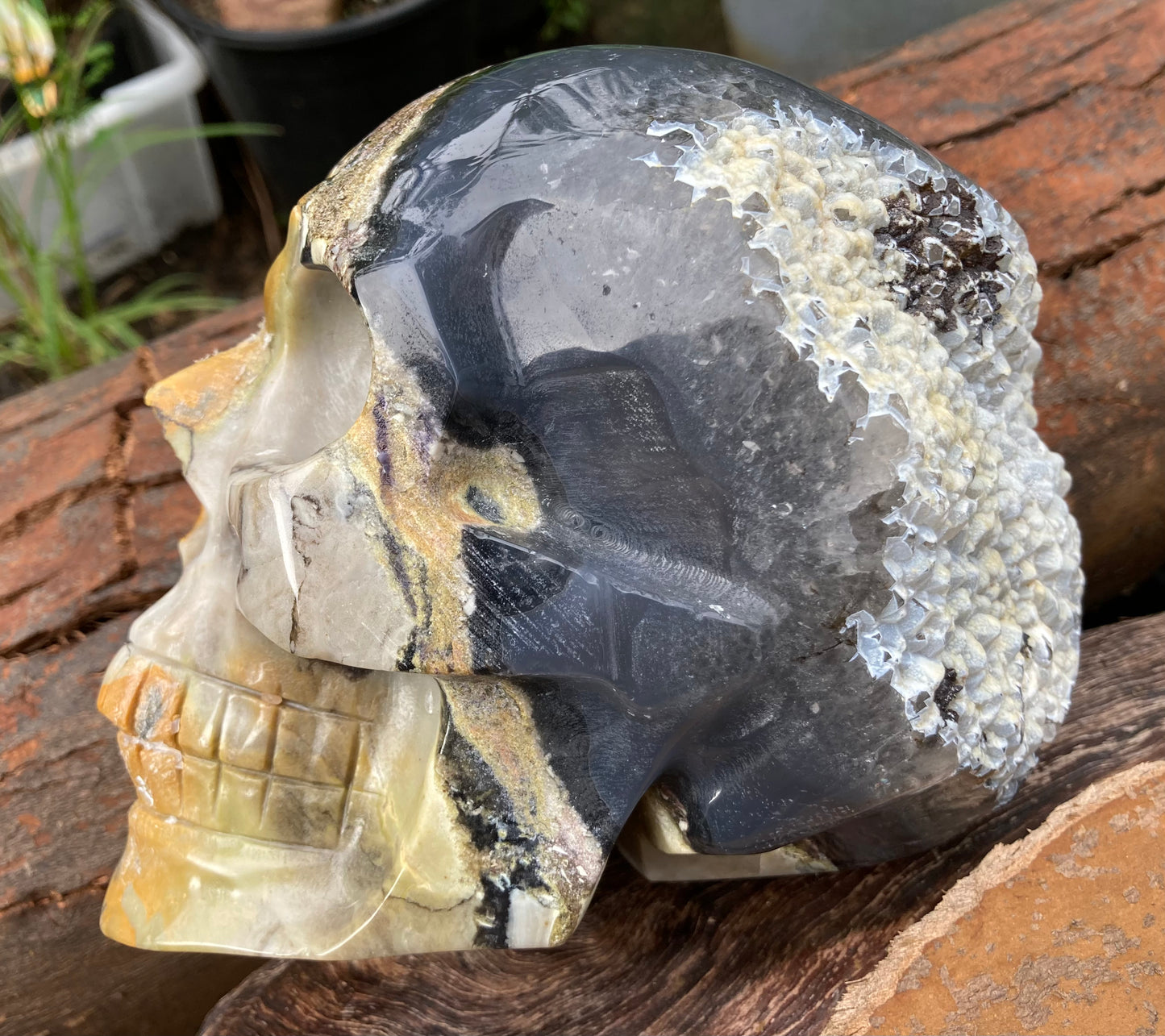 Agate Skull