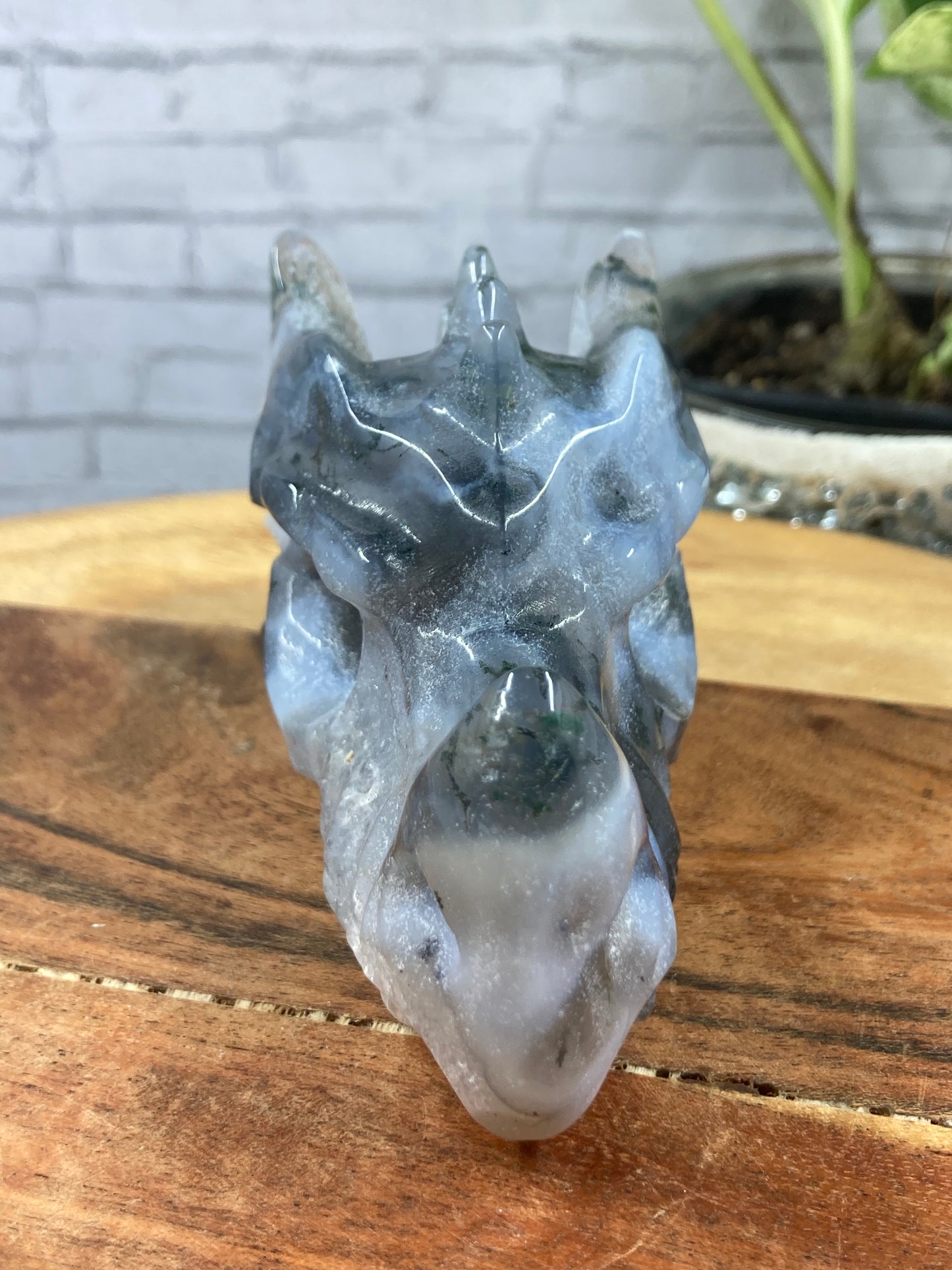 Moss Agate Dragon Skull