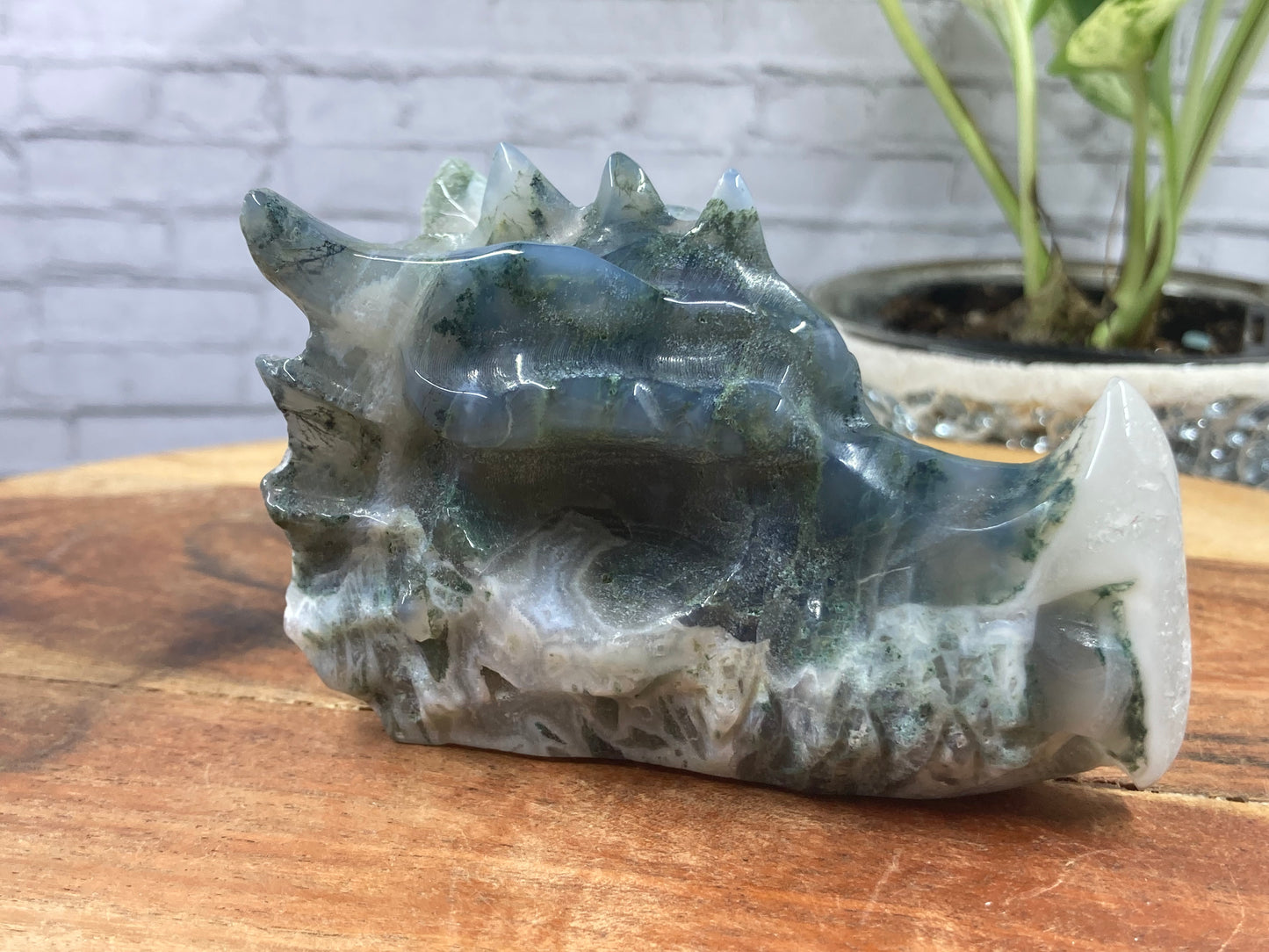 Moss Agate Dragon Skull