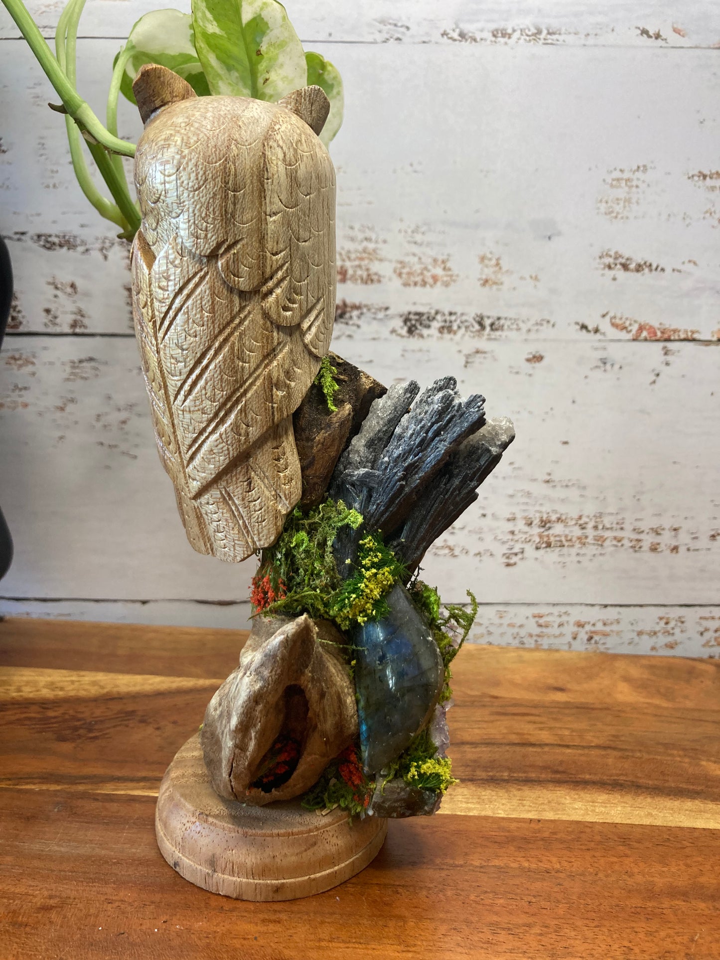 Owl in Crystal Garden