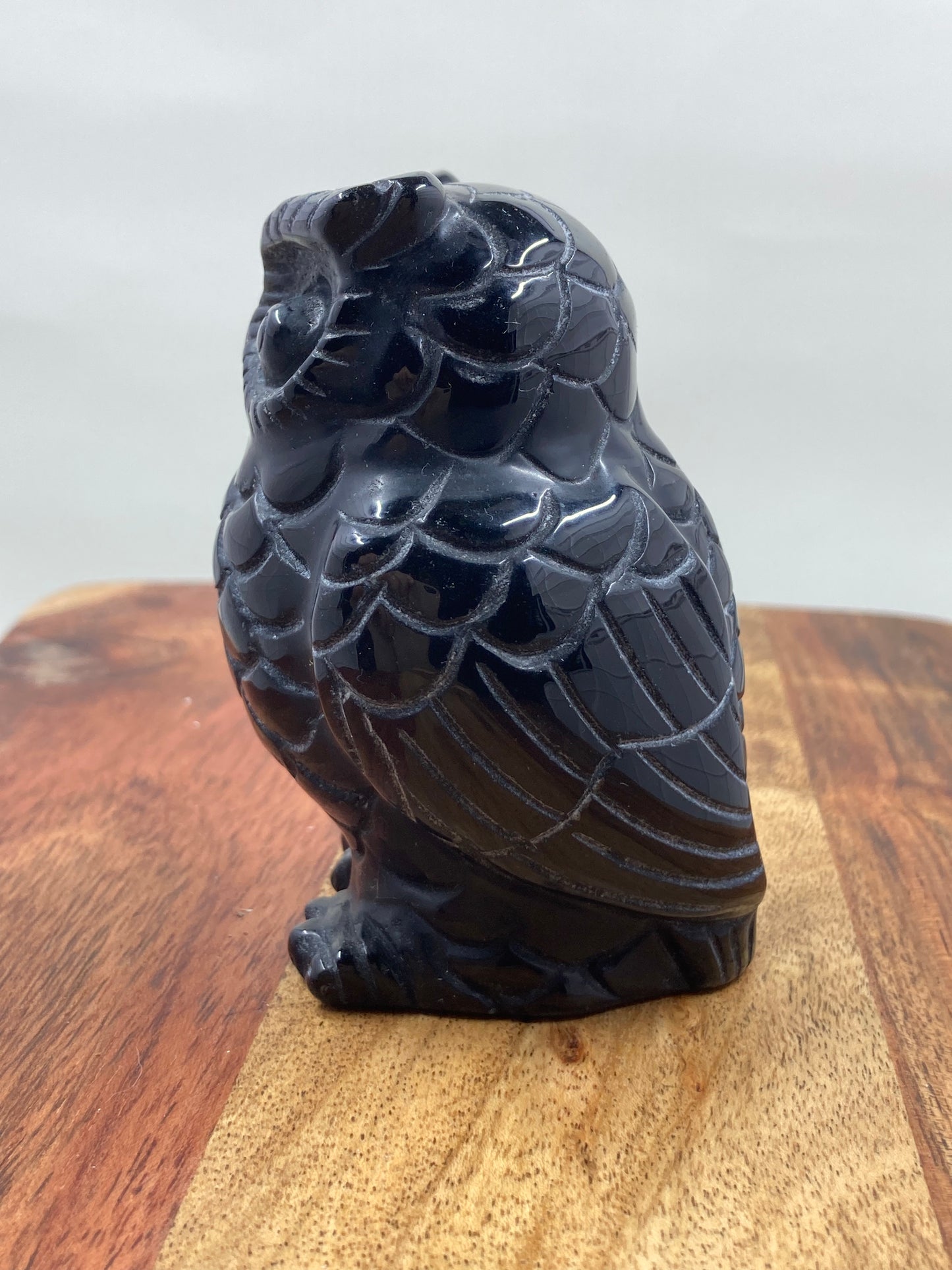 Black Obsidian Owl