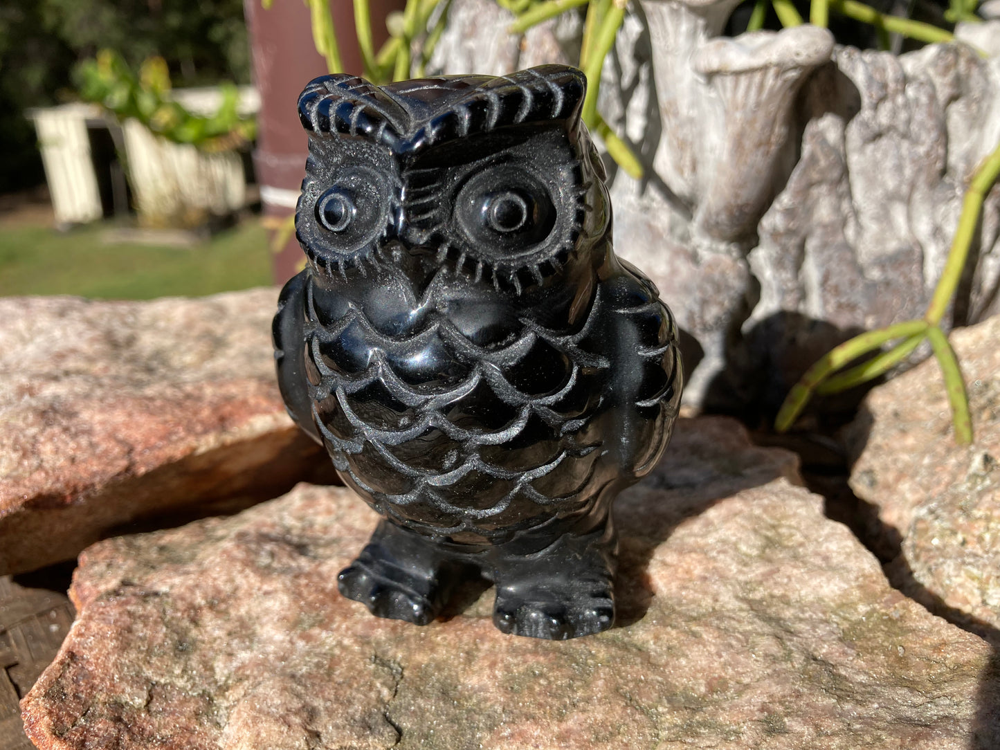 Black Obsidian Owl