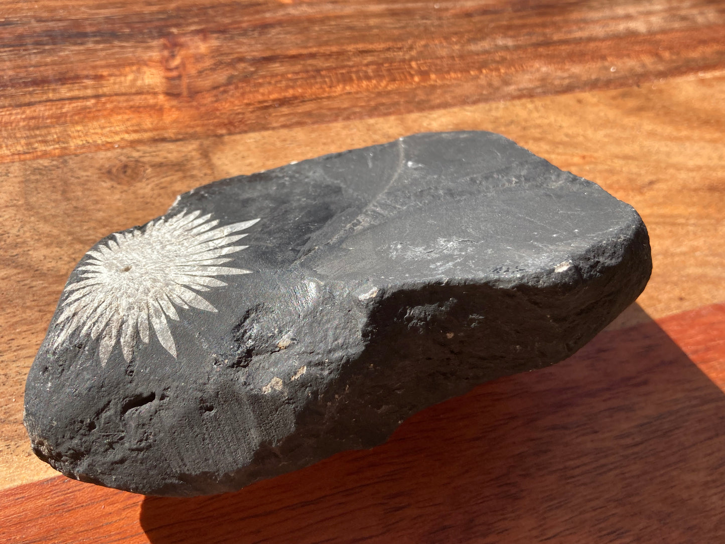 Chrysanthemum Stone