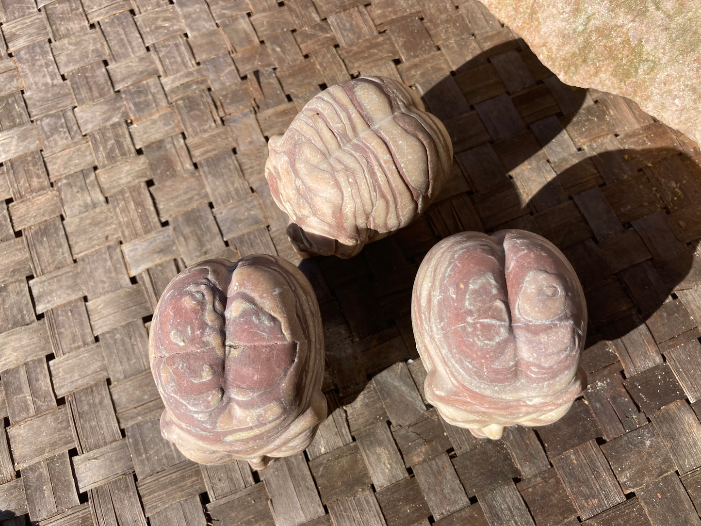 Brown Zebra Jasper Alien Skulls