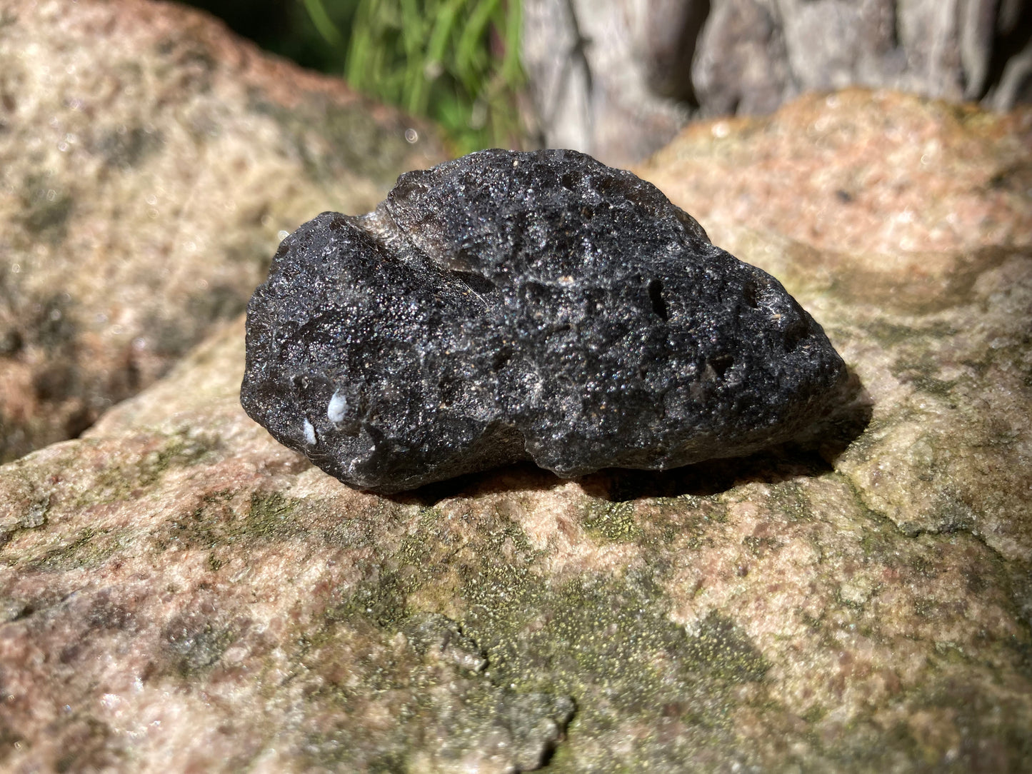 Agni Manitite