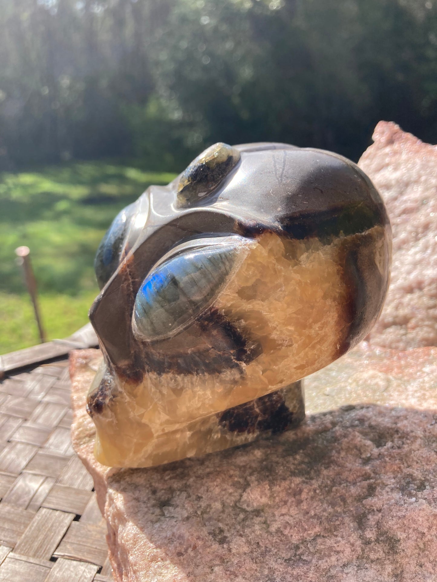 Septarian Alien Skull