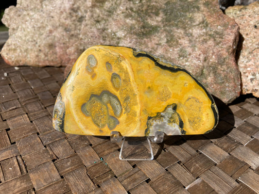 Bumblebee Jasper Slab