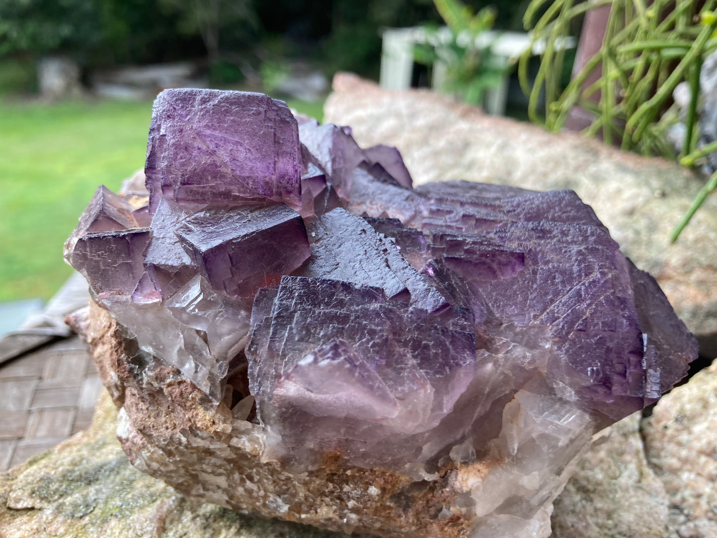 Purple Cubed Fluorite