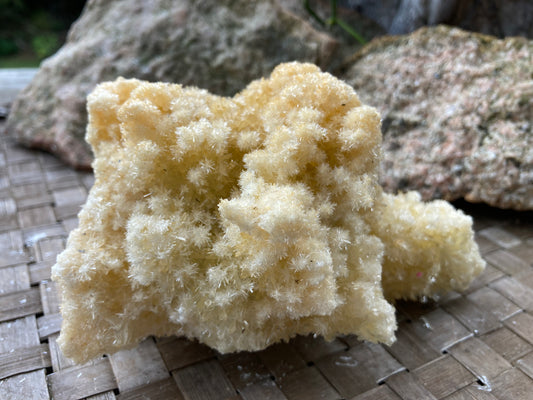 Yellow Gypsum Crystal Cluster