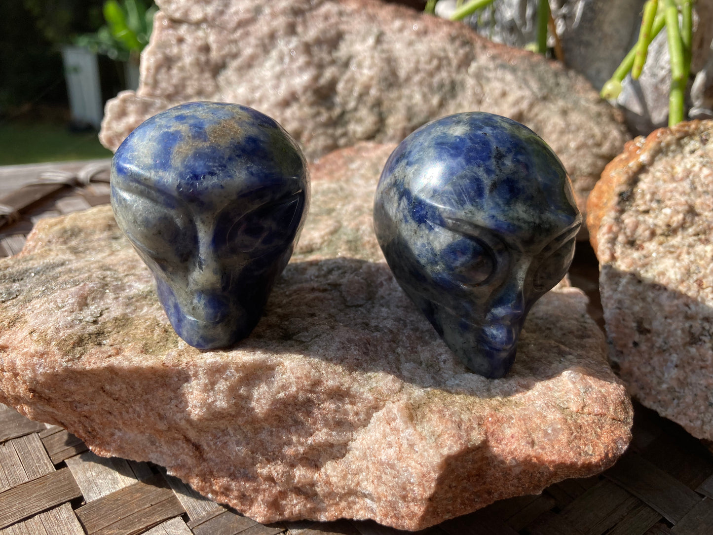 Sodalite Alien Skull