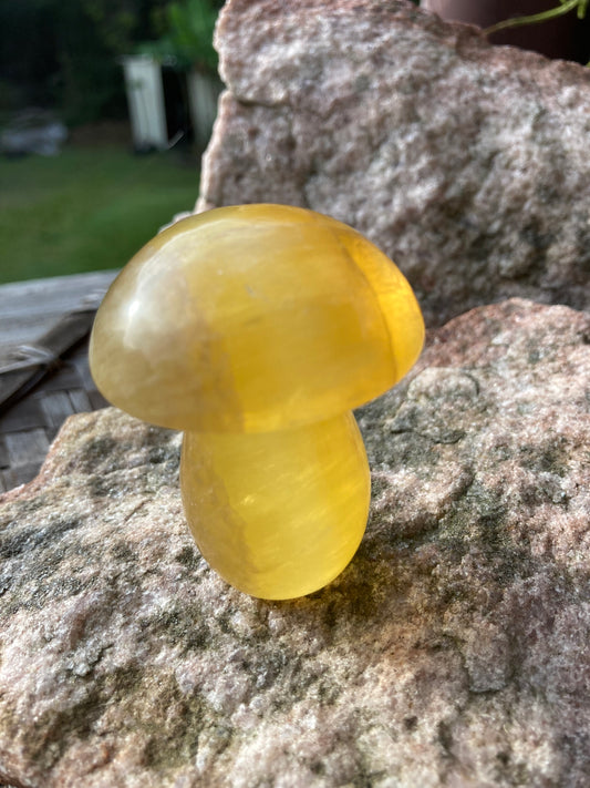 Yellow Fluorite Mushrooms