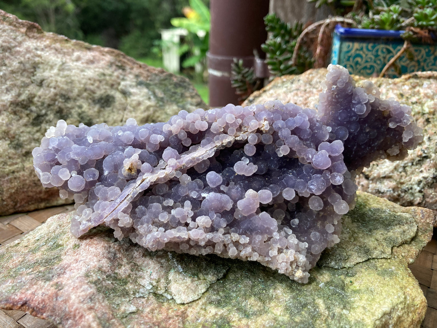 Grape Agate