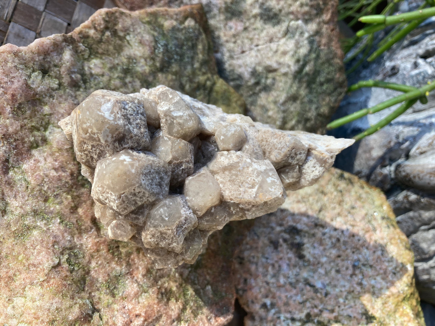 Garden Quartz Cluster