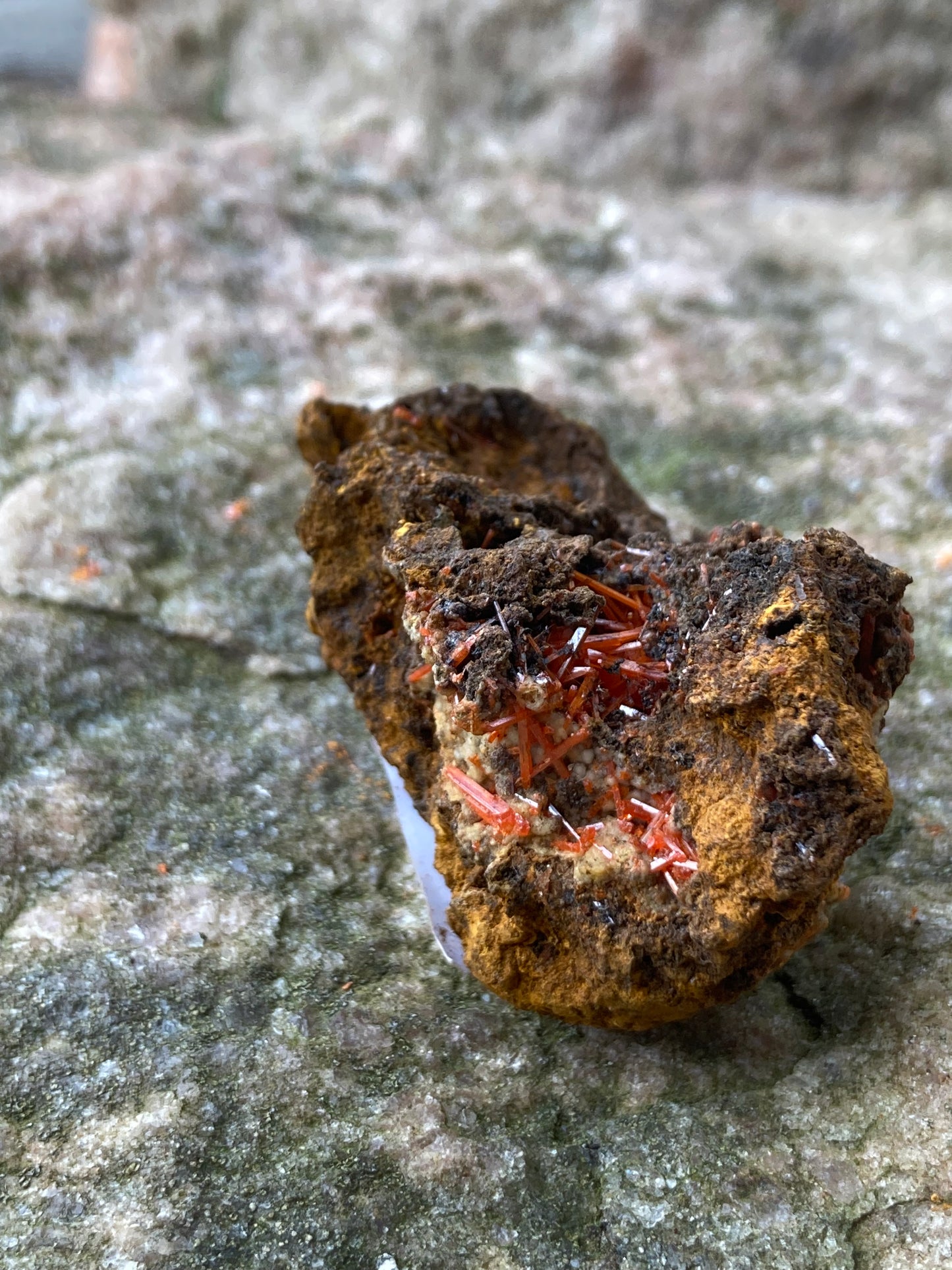 Tasmanian Crocoite