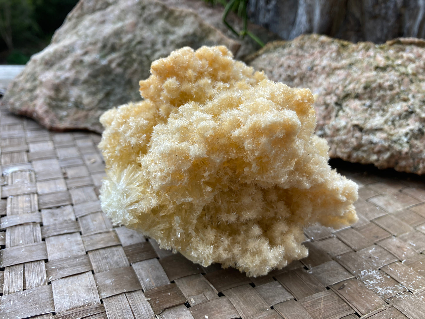 Yellow Gypsum Crystal Cluster