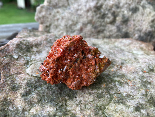 Tasmanian Crocoite