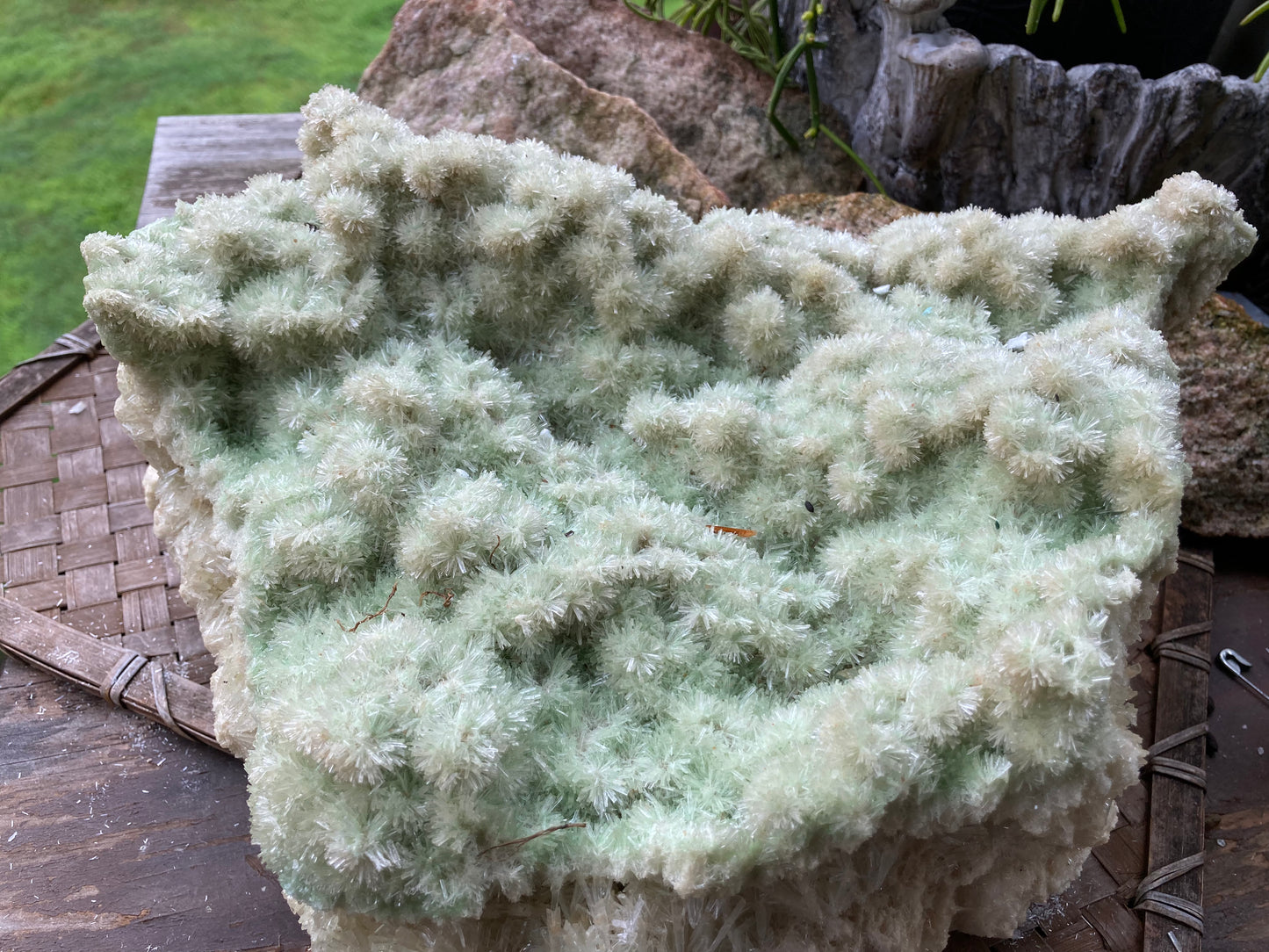 Green Gypsum Crystal Cluster