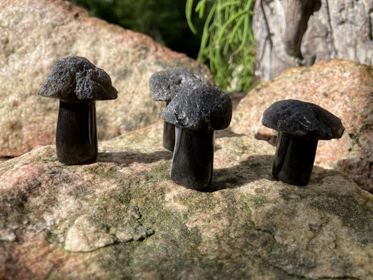 Agni Manitite Carved Mushrooms