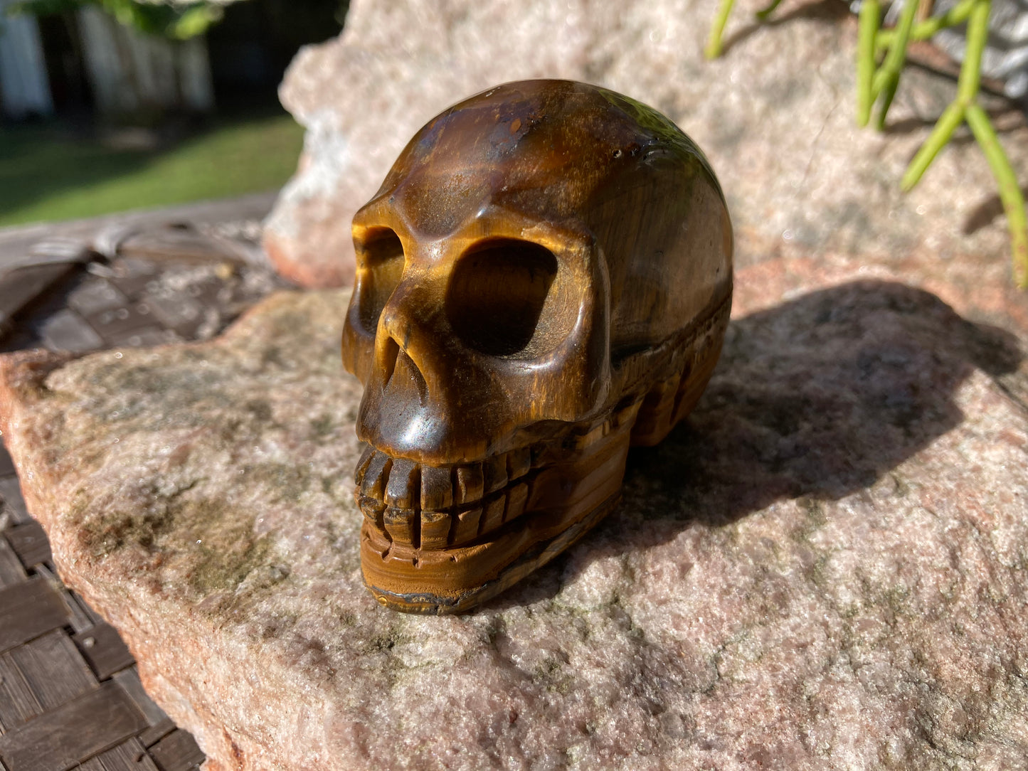 Tigers Eye Skull