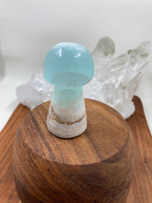 Caribbean Blue Calcite Mushroom