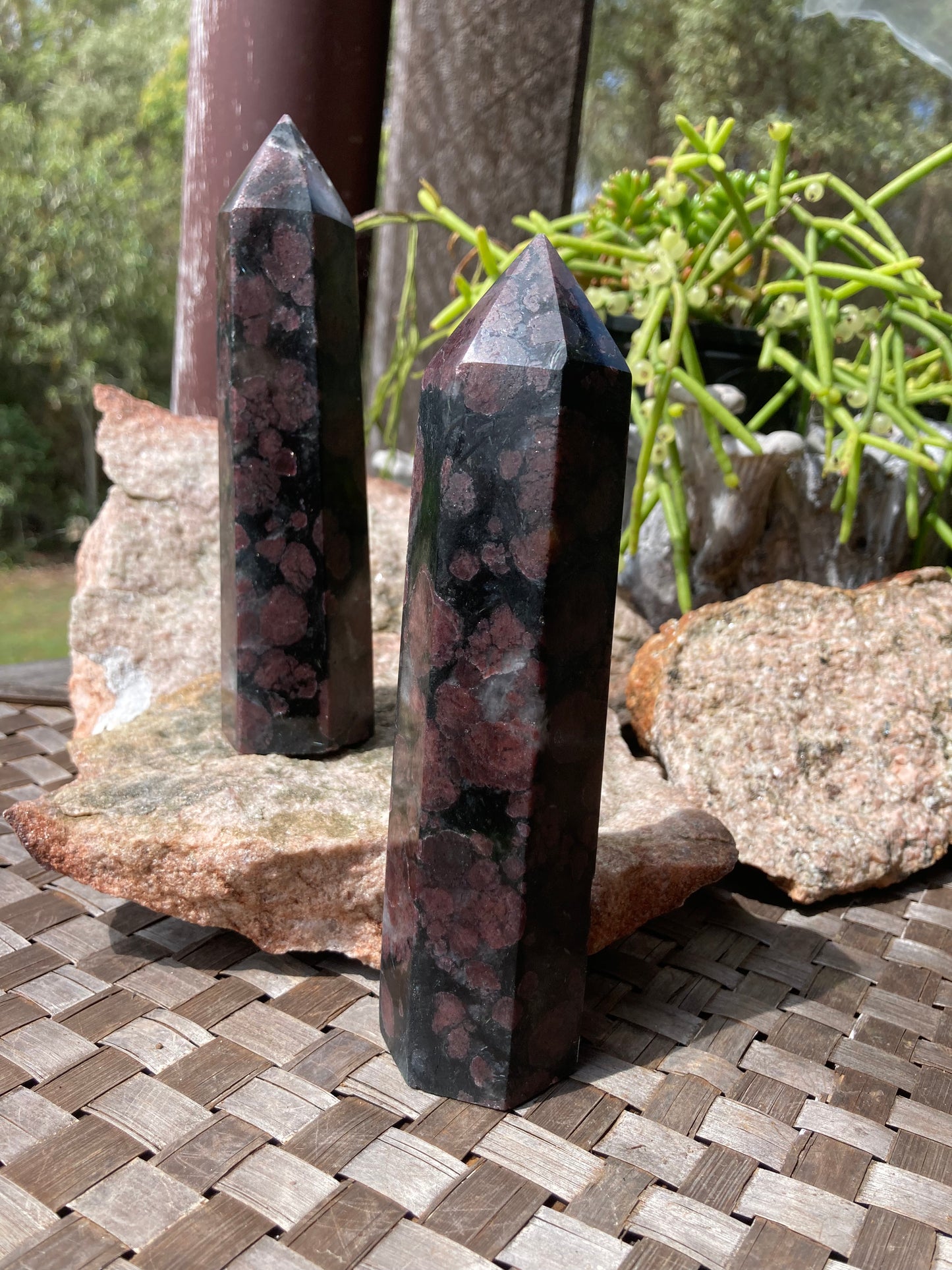 Garnet in Astrophyllite Towers