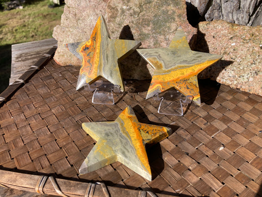 Bumblebee Jasper Stars